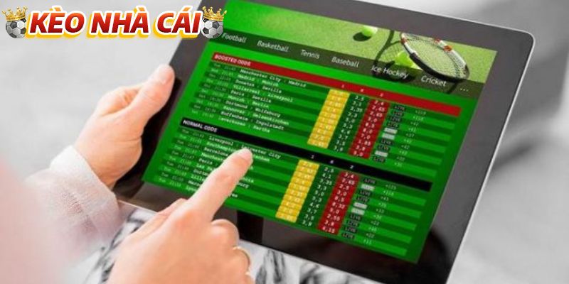 Giới hạn và phạm vi trách nhiệm tại website